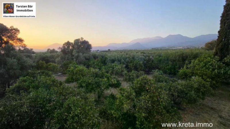 Vori Wohnen im Olivenhain – Ihr Traum-Einfamilienhaus in Vori, Kreta Haus kaufen